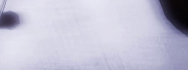 のいさんの壁紙画像