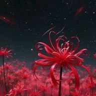 珀蓮  鬼灯@活動停止さんのアイコン画像