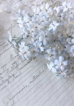 こ れ か ら の 投 稿 頻 度 に つ い て