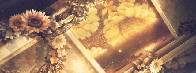 れあさんの壁紙画像