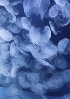 ~グループ事務所を作りたい、！~