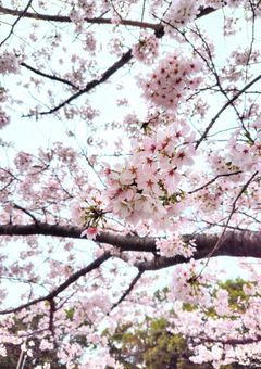 ⚜️専用部屋⚜️