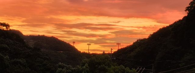 紫苑媛さんの壁紙画像