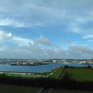 コヨーテ/葵🪐さんのアイコン画像