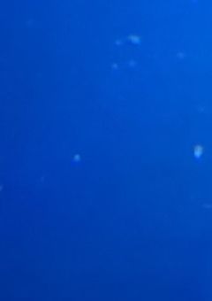 20人の兄が出来ました(ハンドレ)