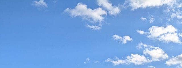 ピナさんの壁紙画像