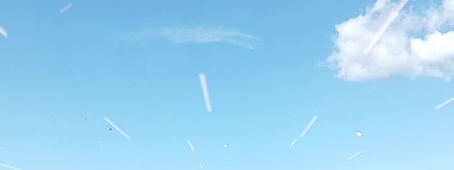 水 葉 る り さんの壁紙画像