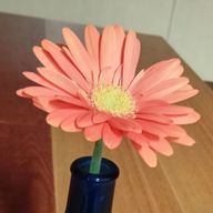 shionnnさんのアイコン画像