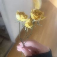 shino*さんのアイコン画像