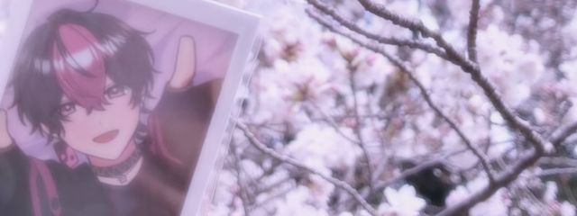 美菜さんの壁紙画像