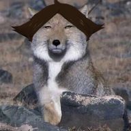 ·̩͙꒰ঌ 𝓝𝓞𝓐 ໒꒱·̩͙🦊⚡️さんのアイコン画像