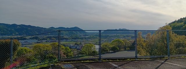 親指の付け根さんの壁紙画像