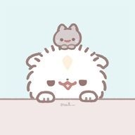 マイペース🐈‍⬛さんのアイコン画像