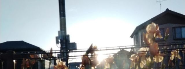 RACCO✭さんの壁紙画像