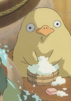 雑食ちゃんへ