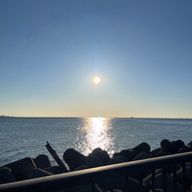 shodyさんのアイコン画像