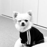 mkkskさんのアイコン画像