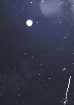 嫌われ