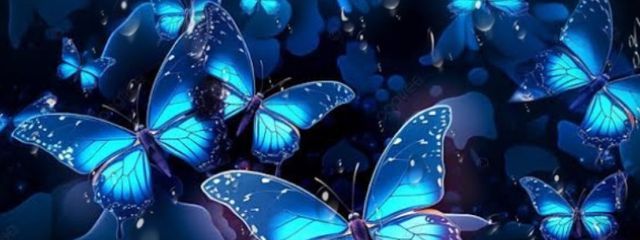 みかみかん🦋🌧ﾌｫﾛﾊﾞさんの壁紙画像