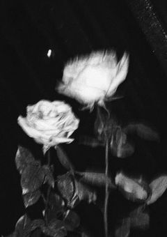 　　　♡