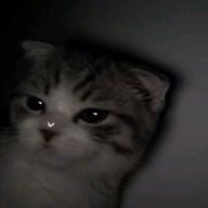 ｸﾚｱさんのアイコン画像