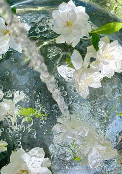 𝙽𝚓𝚜𝚓　　" 元 " 石油王 、無気力な嫁を養ってるらしい