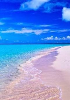 海辺