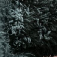 るあさんのアイコン画像