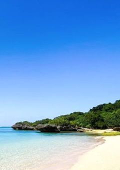 今日好き【卒業編2026】