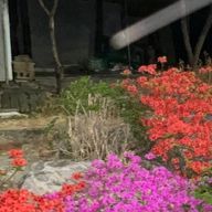 枯れたまりもさんのアイコン画像