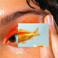 山椒魚さんのアイコン画像