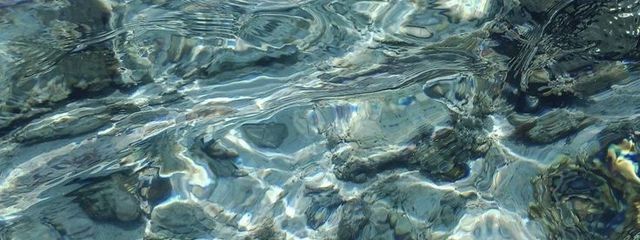 ちょぴさんの壁紙画像