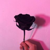 ちょぴさんのアイコン画像