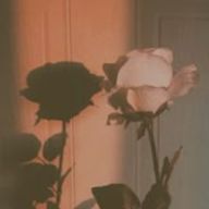 強がりさんのアイコン画像