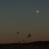 碧瑠璃さんのアイコン画像