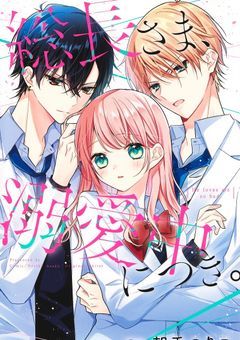 総長さま溺愛中につき。（stprver.）