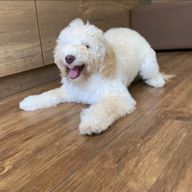 ゆーなさんのアイコン画像