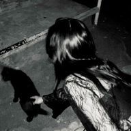 ashc66さんのアイコン画像