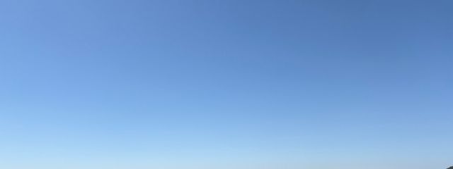 クリアさんの壁紙画像
