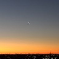 こぐまはさつまいもさんのアイコン画像