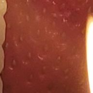 兎桜さんのアイコン画像