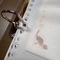 sanonoさんのアイコン画像