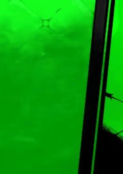 見ないんだろ?知ってるさ