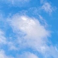 나비🦋さんのアイコン画像