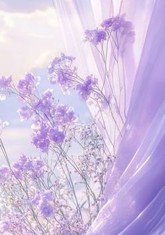 家出てったら溺愛された件