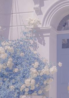 不仲ペア、付き合ったらしい