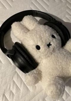 し か の こ の こ の こ こ し た ん た ん　‎𖦹‎  ̫ 𖦹‎‎