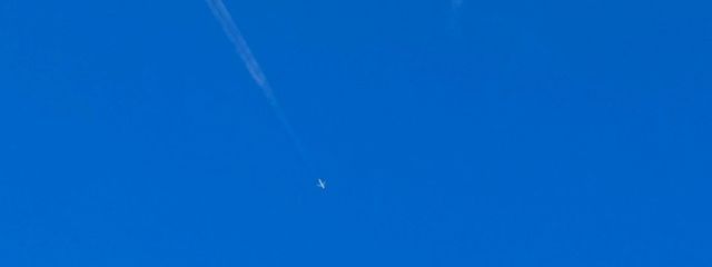 苺檸檬🍓🍋さんの壁紙画像