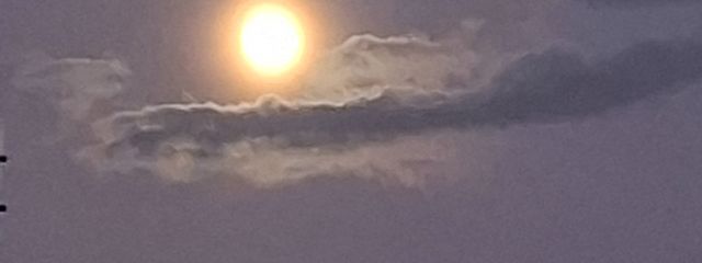 リズさんの壁紙画像