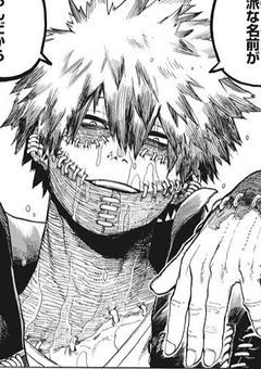 お前らに守られるほど弱かねぇ